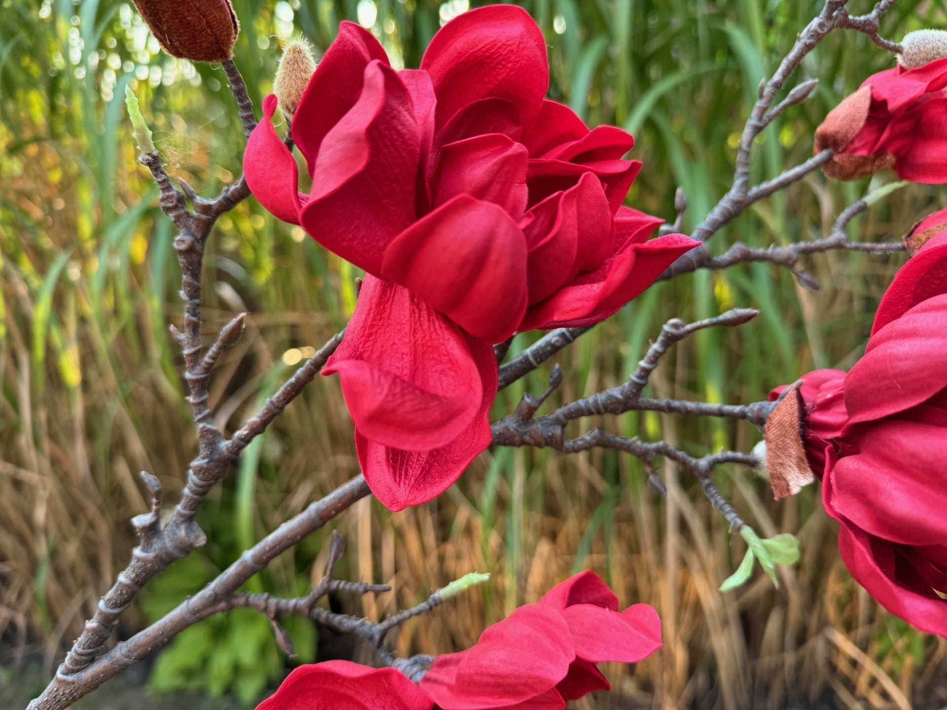 magnolia flowers branches faux